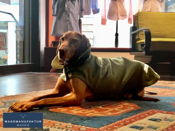 Hündin Mishka präsentiert einen Hundemantel